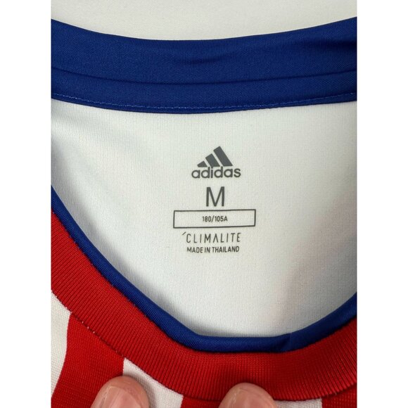 PARAGUAY NATIONAL TEAM 2018/2019 HOME SOCCER FUTBOL JERSEY ADIDAS M - Picture 5 of 8